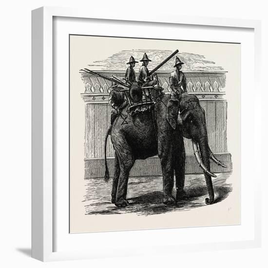 A Siamese War Elephant-null-Framed Giclee Print