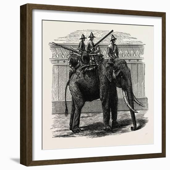 A Siamese War Elephant-null-Framed Giclee Print