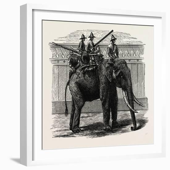 A Siamese War Elephant-null-Framed Giclee Print