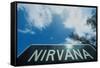 A sign that reads "Nirvana"-null-Framed Stretched Canvas