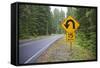 A Signpost on a Forest Road Warning of a U Turn in the Cascade Mountains of Central Oregon-Buddy Mays-Framed Stretched Canvas