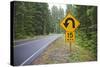 A Signpost on a Forest Road Warning of a U Turn in the Cascade Mountains of Central Oregon-Buddy Mays-Stretched Canvas