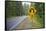 A Signpost on a Forest Road Warning of a U Turn in the Cascade Mountains of Central Oregon-Buddy Mays-Framed Stretched Canvas