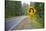 A Signpost on a Forest Road Warning of a U Turn in the Cascade Mountains of Central Oregon-Buddy Mays-Stretched Canvas