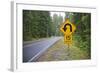 A Signpost on a Forest Road Warning of a U Turn in the Cascade Mountains of Central Oregon-Buddy Mays-Framed Photographic Print