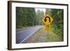 A Signpost on a Forest Road Warning of a U Turn in the Cascade Mountains of Central Oregon-Buddy Mays-Framed Photographic Print