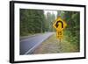 A Signpost on a Forest Road Warning of a U Turn in the Cascade Mountains of Central Oregon-Buddy Mays-Framed Photographic Print