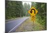 A Signpost on a Forest Road Warning of a U Turn in the Cascade Mountains of Central Oregon-Buddy Mays-Mounted Photographic Print