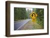 A Signpost on a Forest Road Warning of a U Turn in the Cascade Mountains of Central Oregon-Buddy Mays-Framed Photographic Print