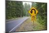 A Signpost on a Forest Road Warning of a U Turn in the Cascade Mountains of Central Oregon-Buddy Mays-Mounted Photographic Print