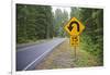 A Signpost on a Forest Road Warning of a U Turn in the Cascade Mountains of Central Oregon-Buddy Mays-Framed Photographic Print