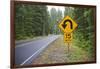 A Signpost on a Forest Road Warning of a U Turn in the Cascade Mountains of Central Oregon-Buddy Mays-Framed Photographic Print