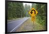 A Signpost on a Forest Road Warning of a U Turn in the Cascade Mountains of Central Oregon-Buddy Mays-Framed Photographic Print