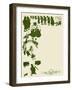 A Silhouette of Saints and Sinners-null-Framed Art Print