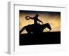 A Silhouetted Cowboy Riding Alone a Ridge at Sunset in Shell, Wyoming, USA-Joe Restuccia III-Framed Photographic Print