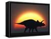 A Silhouetted Triceratops Strolling Past a Setting Sun at the End of a Prehistoric Day-Stocktrek Images-Framed Stretched Canvas