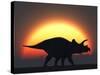 A Silhouetted Triceratops Strolling Past a Setting Sun at the End of a Prehistoric Day-Stocktrek Images-Stretched Canvas