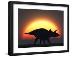 A Silhouetted Triceratops Strolling Past a Setting Sun at the End of a Prehistoric Day-Stocktrek Images-Framed Photographic Print