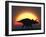 A Silhouetted Triceratops Strolling Past a Setting Sun at the End of a Prehistoric Day-Stocktrek Images-Framed Photographic Print