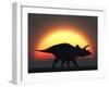 A Silhouetted Triceratops Strolling Past a Setting Sun at the End of a Prehistoric Day-Stocktrek Images-Framed Photographic Print