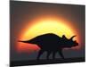 A Silhouetted Triceratops Strolling Past a Setting Sun at the End of a Prehistoric Day-Stocktrek Images-Mounted Photographic Print