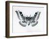 A Silkmoth, Bunaea Caffraria, at London Zoo, before 1930 (B/W Photo)-Frederick William Bond-Framed Giclee Print