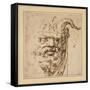 A Silvan Mask-Agostino Carracci-Framed Stretched Canvas