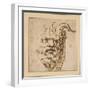 A Silvan Mask-Agostino Carracci-Framed Giclee Print