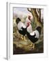 A Silver Wyandotte Cockerel-E. G. Wippell-Framed Giclee Print