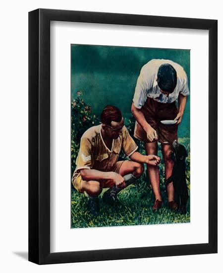 A Singapore Mascot of the Raf, 1940-null-Framed Giclee Print