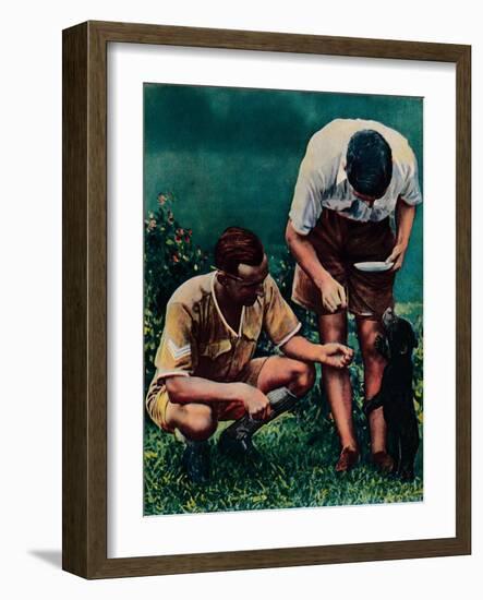 A Singapore Mascot of the Raf, 1940-null-Framed Giclee Print