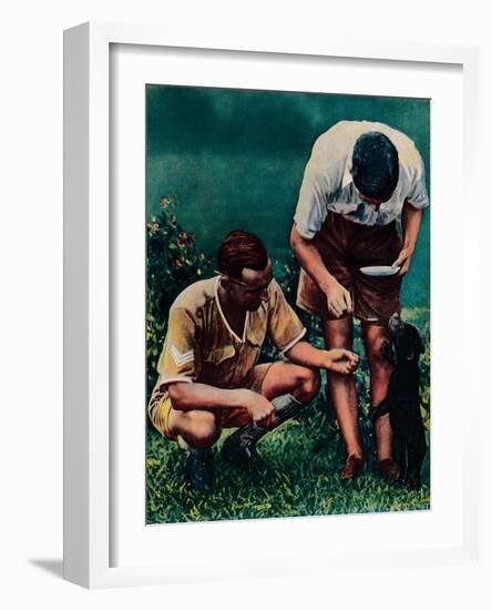 A Singapore Mascot of the Raf, 1940-null-Framed Giclee Print