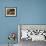 A Singerie: Monkey Barbers Serving Cats-Jan Van Kessel-Framed Giclee Print displayed on a wall
