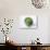 A Single Brussels Sprout-Cyndy Black-Photographic Print displayed on a wall