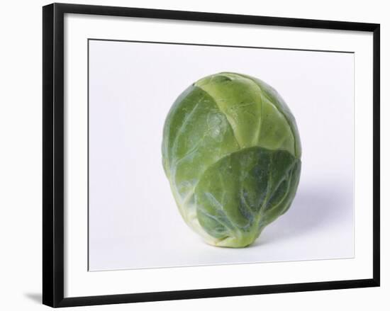 A Single Brussels Sprout-Cyndy Black-Framed Photographic Print