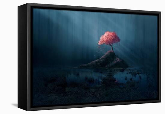 A Single Pink Tree in a Dark Blue Forest.-Amanda Carden-Framed Stretched Canvas