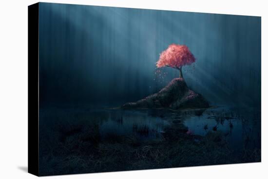 A Single Pink Tree in a Dark Blue Forest.-Amanda Carden-Stretched Canvas