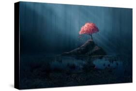 A Single Pink Tree in a Dark Blue Forest.-Amanda Carden-Stretched Canvas