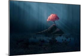 A Single Pink Tree in a Dark Blue Forest.-Amanda Carden-Mounted Art Print