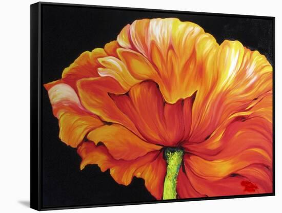 A Single Poppy-Marcia Baldwin-Framed Stretched Canvas