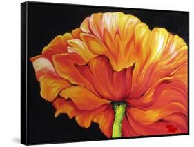 A Single Poppy-Marcia Baldwin-Framed Stretched Canvas