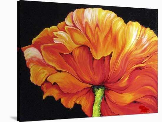 A Single Poppy-Marcia Baldwin-Stretched Canvas