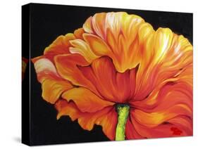 A Single Poppy-Marcia Baldwin-Stretched Canvas