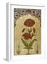 A Single Stem of Poppy Blossoms on Gold Ground, 1770-80 AD-null-Framed Giclee Print