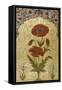 A Single Stem of Poppy Blossoms on Gold Ground, 1770-80 AD-null-Framed Stretched Canvas