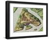 A Site for the Fort Is Chosen, from 'Brevis Narratio..'-Jacques Le Moyne-Framed Giclee Print