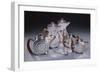 A Six Piece Silver and Rosewood Tea and Coffee Service, Circa 1934-Alvar Aalto-Framed Giclee Print