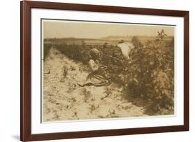 A Six Year Old Polish Girl Picking Berries All Day with Her Family (Scholtz) at Rock Creek Near Bal-Lewis Wickes Hine-Framed Photographic Print