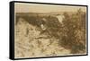 A Six Year Old Polish Girl Picking Berries All Day with Her Family (Scholtz) at Rock Creek Near Bal-Lewis Wickes Hine-Framed Stretched Canvas