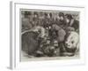 A Sketch at the Cattle-Show, Birmingham-Samuel John Carter-Framed Giclee Print